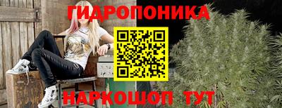ПСИЛОЦИБИНОВЫЕ ГРИБЫ Ливны