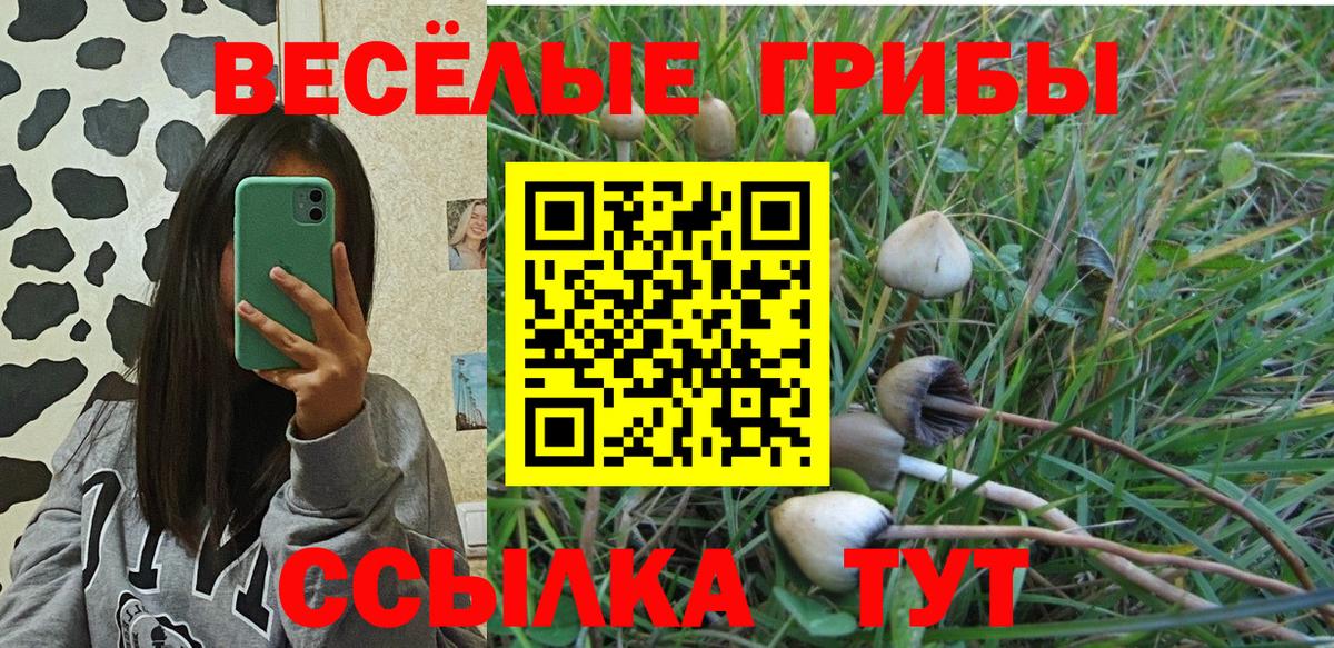 Ярославль  Псилоцибиновые грибы GOLDEN TEACHER  Вход с VPN 
